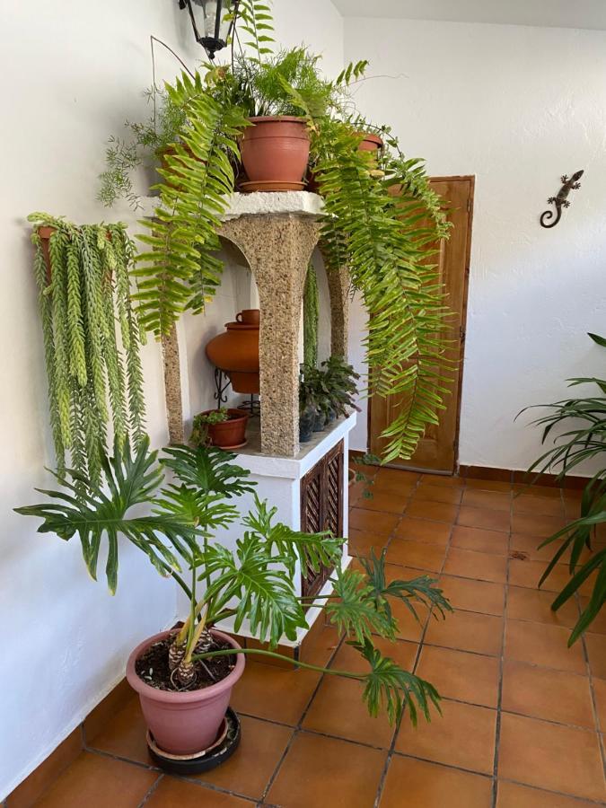 Willa Casa En Mogan Las Burrillas Zewnętrze zdjęcie